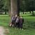 Angie Rogers StCroix's profile image