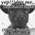Gerardo Ramirez's profile image