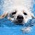 Donna Morin's profile image