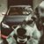 Abrahem Sheloke's profile image