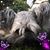 Tammy Bailey Kennedy's profile image