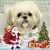 Jeny Milosevic's profile image