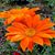 Marg Schermerhorn's profile image