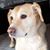 Lisa Murphy's profile image