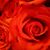 Maurice N Kesha Dozier's profile image