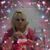 Karen Dunmire's profile image