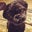 Loan Hy's profile image