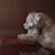 Toni L. Cowan's profile image