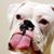 Kelly Graf Borzick's profile image