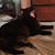 Beaux Beaux Niederhofer's profile image