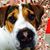Gracie Goo's profile image