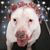 Beth Tomica Hewitt's profile image
