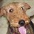 Ruth Tuft's profile image