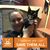 Melissa Pezzuto-Heiting's profile image