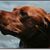 Vicky Mangan's profile image
