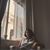 Liz Richards's profile image
