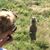 Laura Wegner's profile image