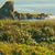 Cindy Piatt's profile image