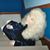 Kristin Bellwood's profile image