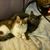 Shelley Reigers's profile image