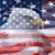 Cris Eichenlaub's profile image