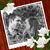 Mary Finch's profile image