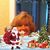 Rocio Ruiz de Azua's profile image