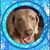 Stephanie Ricketts's profile image