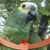 Tom Duban's profile image