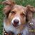 Debra Simmons Earls's profile image