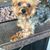 Gail Poirier's profile image