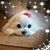 Patricia Rosselli Hartmann's profile image