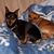 Judy McElhannon's profile image
