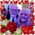 Susan Evarts's profile image