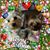 Connie Hubbard's profile image