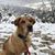 Barbara Payne McLain's profile image