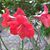 Anna Trujillo Martinez's profile image