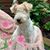 Claudia Losiniecki Green's profile image