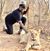 Andrea Stevenson's profile image