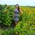 Stacie Allard's profile image