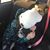 Emily Post Krapausky's profile image