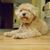 Tiffany Guy's profile image