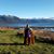 Lowana Drurey's profile image