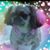 Marnie Denison-Schwanke's profile image