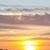 Liz Abraham Meads's profile image
