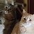 Belinda Wetzell's profile image