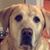 Connie Stratton's profile image