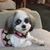 Barb Hauck's profile image