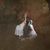 Sue McKian Castor's profile image