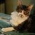 Darlene Lund's profile image